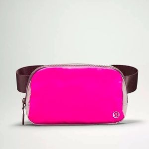 COPY - Nwt Everywhere Belt Bag